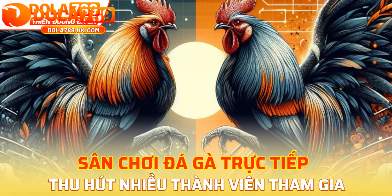 Đá gà DOLA789 – Thiên đường đá gà HOT nhất châu Á 4 da ga dola789 uu diem