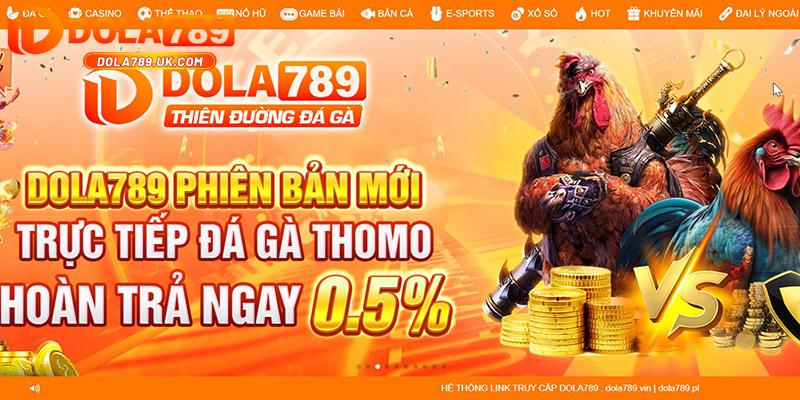 Đăng nhập DOLA789 – Hướng dẫn 3 bước và những lưu ý quan trọng 2 trang chủ đăng nhập đá gà dola789