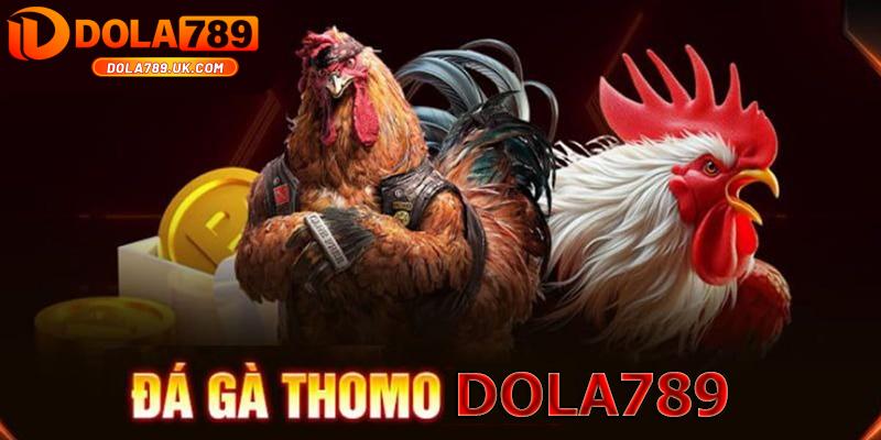 Đá gà Thomo DOLA789 – Địa chỉ cá cược Đá gà đẳng cấp 2025 1 gioi thieu da ga thomo dola789 1