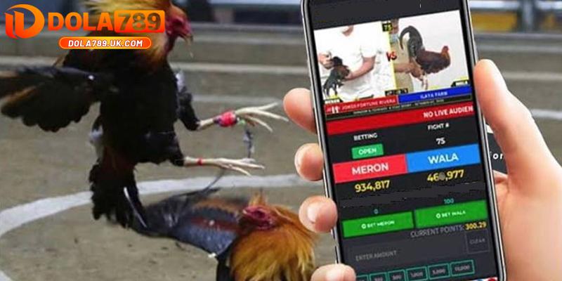 Đá gà cựa sắt DOLA789 – Hướng dẫn cách chơi và mẹo cược thắng lớn 5 luat cuoc da ga cua sat dola789 1